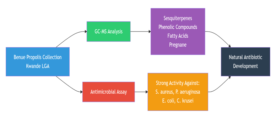 Graphical abstract